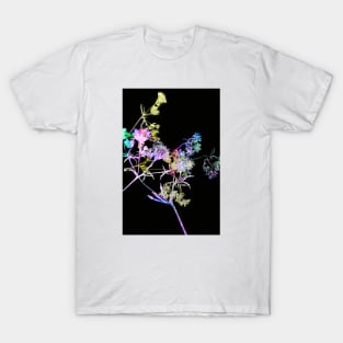 Colourful Florals III T-Shirt